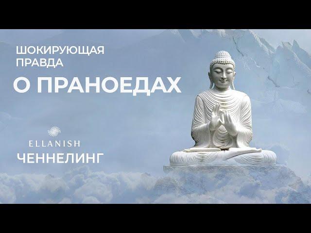  Шокирующая правда о ПРАНОЕДАХ. КАК Я НАУЧИЛАСЬ ПИТАТЬСЯ ПРАНОЙ / как работать с сущностями еды.