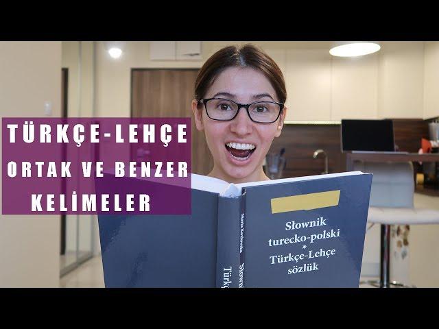 Türkçe ve Lehçe arasındaki ortak ve benzer kelimeler