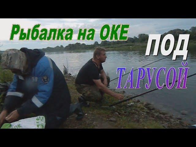 РЫБАЛКА НА ОКЕ под ТАРУСОЙ#1.Ловля на фидер.Окунь на силикон.Матч Россия-Хорватия на берегу Оки.