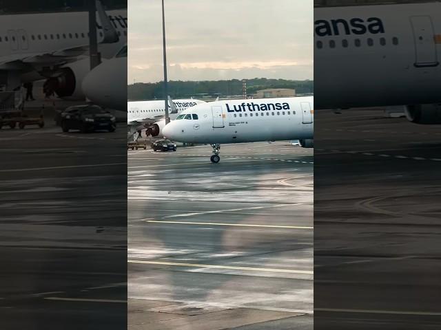 Plane Spotting Lufthansa Airbus at Frankfurt #planespotting #shorts