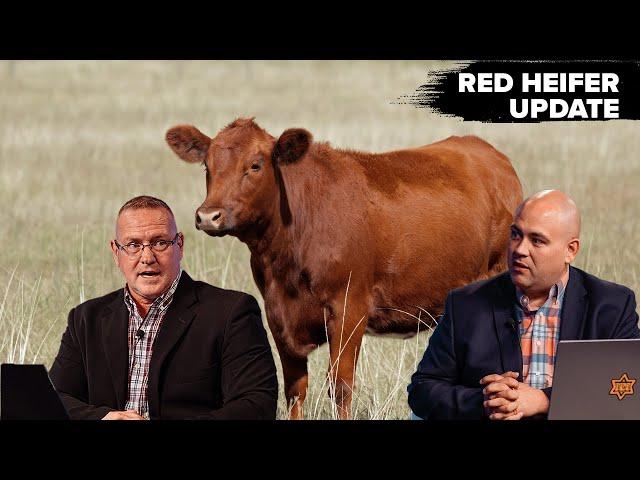  Prophetic Alert: Is the Red Heifer Ceremony About to Happen? 