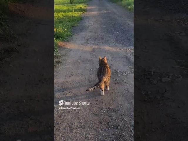 С добрым утром!