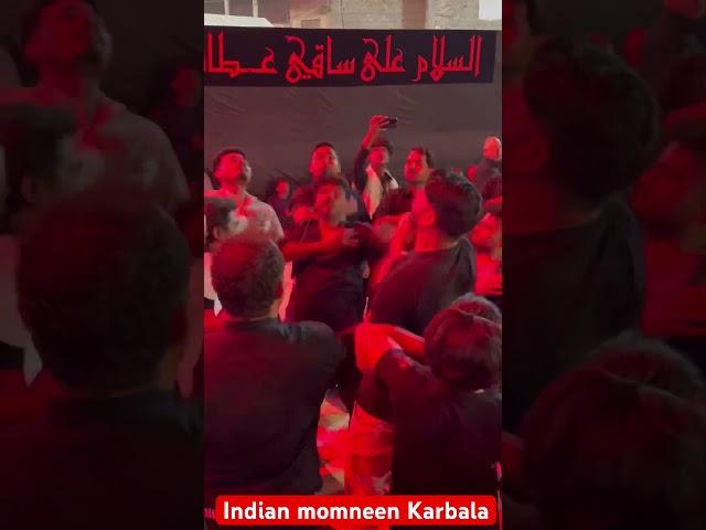 Indian azadari in Karbala haram Imam hussain as #karbala #imamhussain #arbaeen #arbaeenwalk #كربلاء