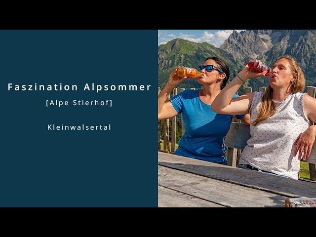 Faszination Alpsommer - auf der Alpe Stierhof im Kleinwalsertal