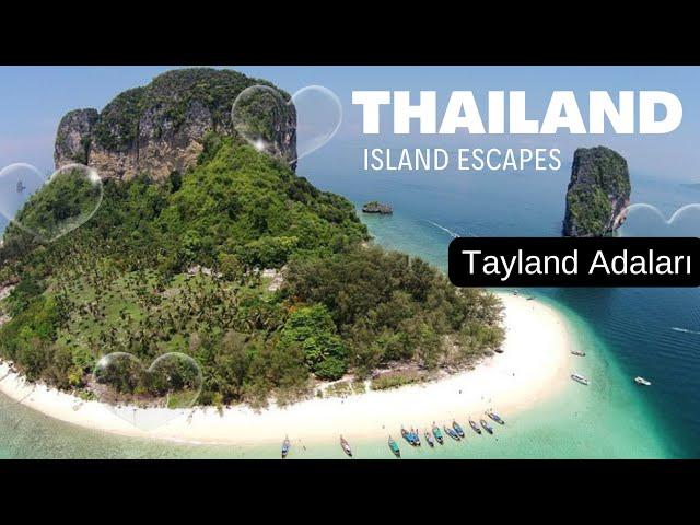 Thailand Tour 2024 | Tayland Adaları Turu