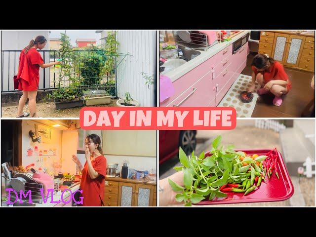 DAY IN MY LIFE|BELANJA-PANEN-MASAK-MAKAN