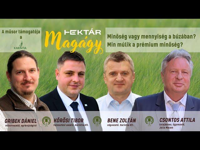 Minőség vagy mennyiség a búzában? | Hogyan lesz prémium a kalászos? | Minőségi búza kell a malomnak?