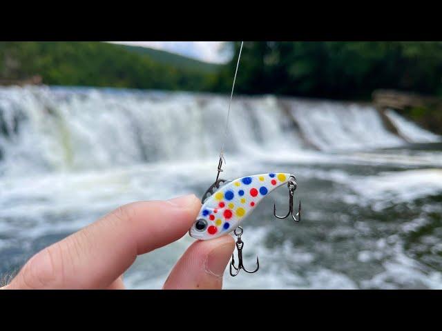 Do Wonder Bread Lures Catch Fish?! (RIVER FISHING)