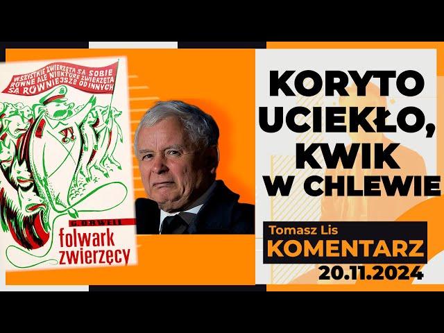 Koryto uciekło, kwik w chlewie | TOMASZ LIS KOMENTARZ 20.11.2024