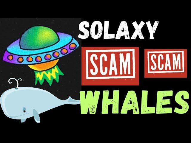 SOLAXY SOLX PRESALE COIN CRYPTO SCAM UPDATE NEWS LEGIT CLAIMING LAUNCH WALL PEPETO