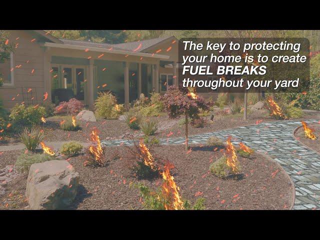 How to Slow the Spread of Fire