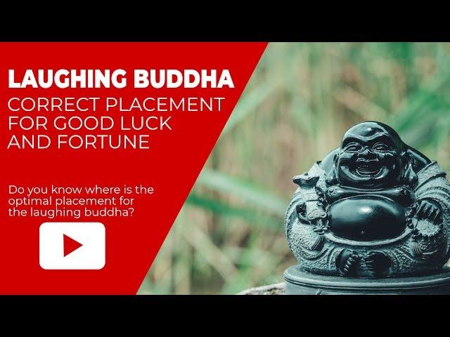 Laughing Buddha Statue Feng Shui Tips and Placement at Home and Work