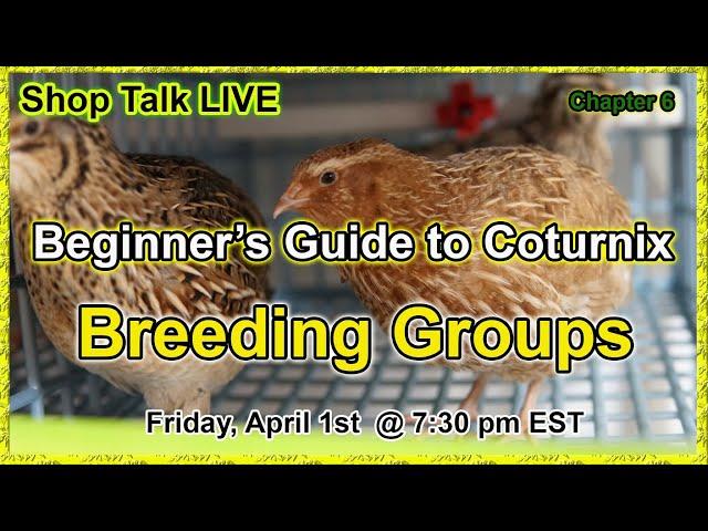 Shop Talk Live - Beginner's Series - Breeding Groups