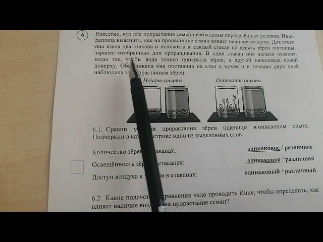 Подготовка к Всероссийской проверочной работе. ВПР. Окружающий мир, 4 класс. Задание 6.