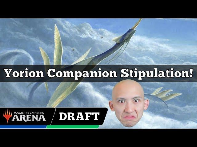 Yorion Companion Stipulation! | Arena Cube Draft | MTG Arena