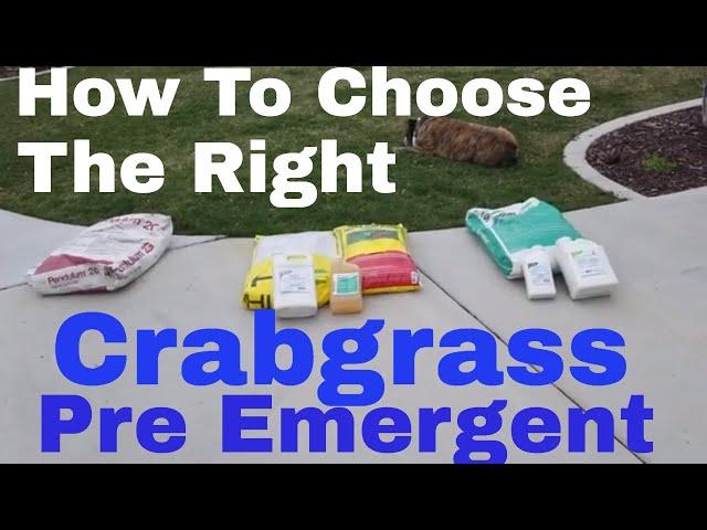 Best pre emergent.  Crabgrass control with pre emergent herbicide. DIY How to choose the right Pre M