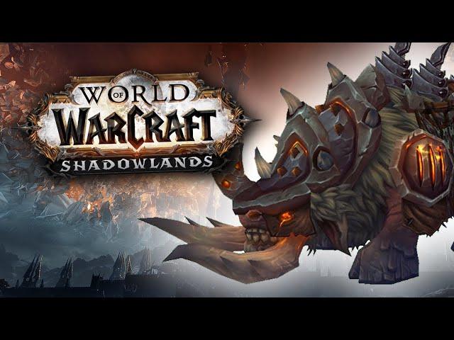 The Only BM Hunter Pet You'll Ever Need | WoW Shadowlands