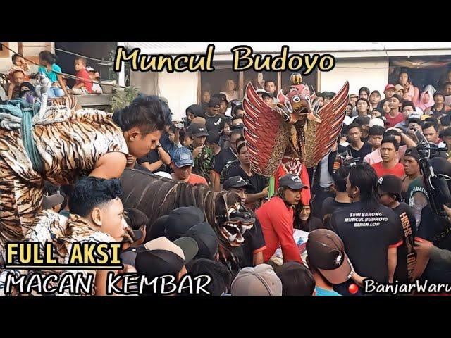 Keblak-keblak Macan Kembar Muncul Budoyo Beran Lor || Live Banjarwaru