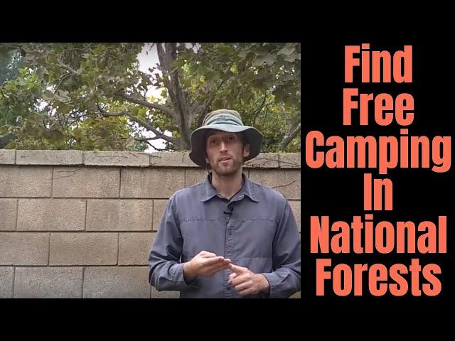 You Can Car Camp In Any National Forest - Legally!