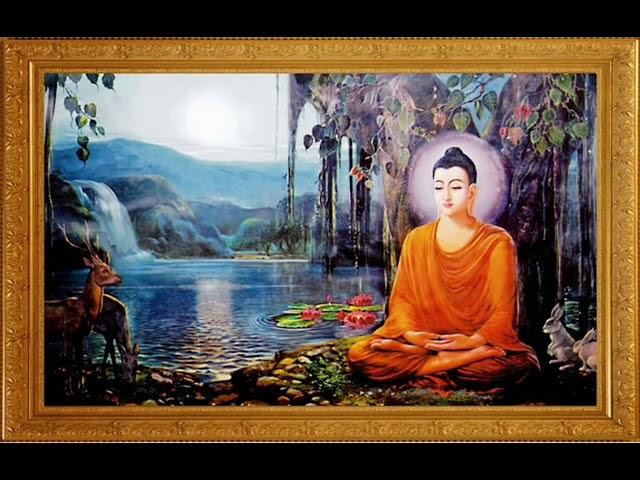 NHẠC THIỀN - TĨNH TÂM - AN NHIÊN TỰ TẠI.