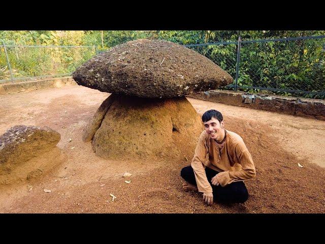 Mushroom Trip in India  