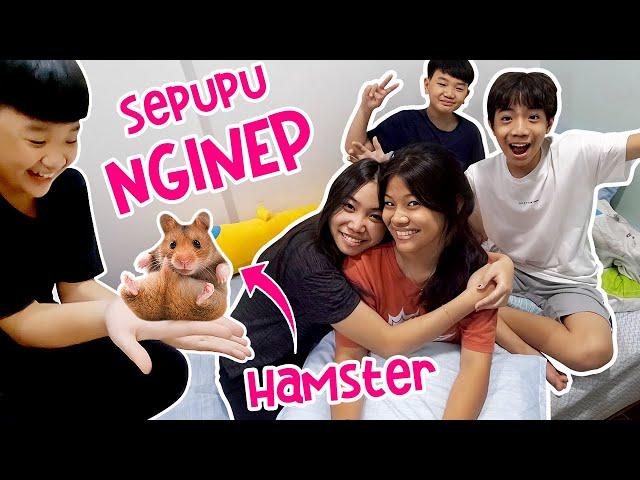 24 JAM SEPUPU NGINAP DI RUMAH, KOK TAKUT MAIN HAMSTER ? Vlog Lucu | CnX Adventurers