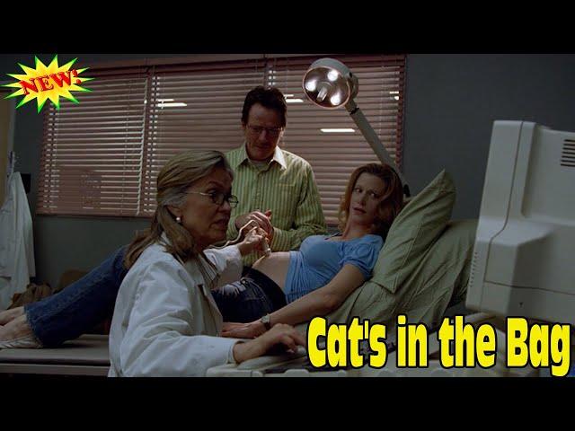 Breaking Bad 2008 Season 1 - Episodes 2 | Cat's in the Bag Full Episodes HD