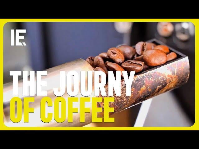 This is how your coffee made it to your table