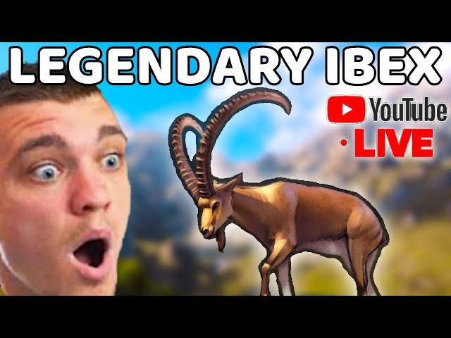 Hunting Down the LEGENDARY IBEX!!! (Livestream)