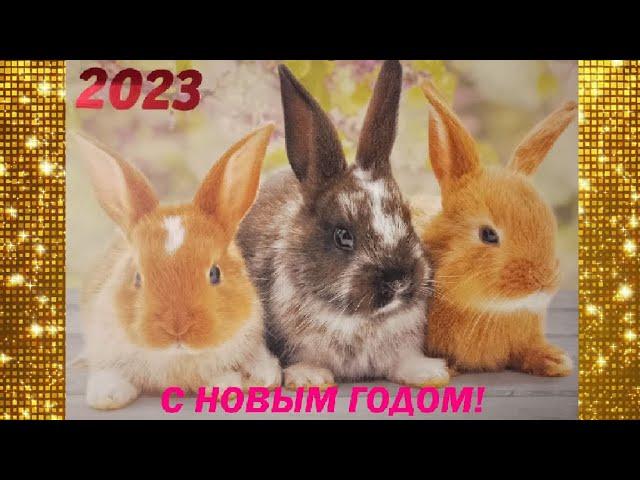 Самая заводная песня и видео С Новым 2023 Годом!