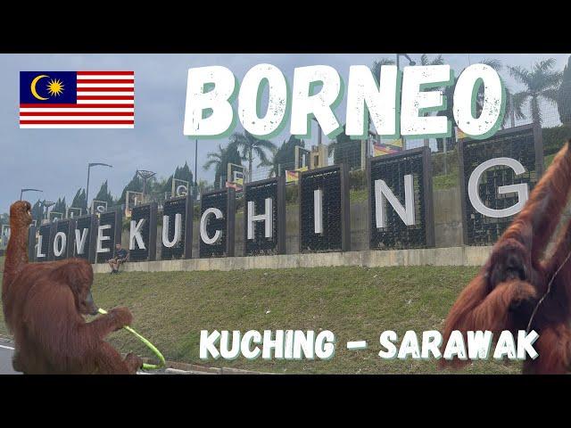 First Impressions Of Borneo