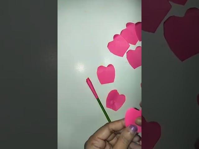 Pink rose || beautiful flower