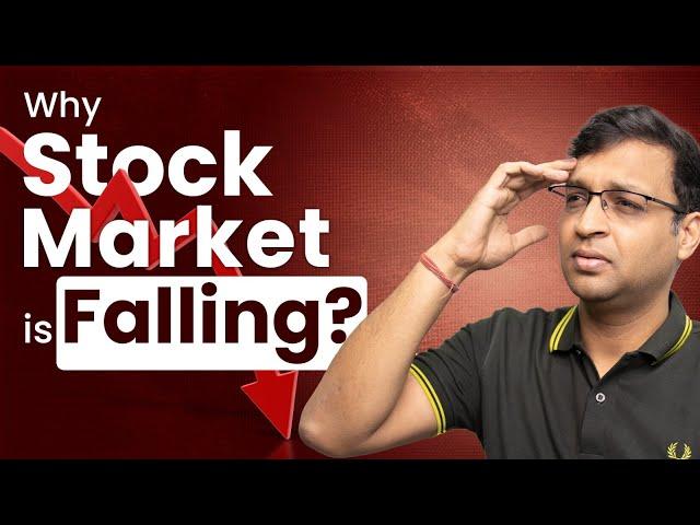 Will Stock Market continue to Fall ?