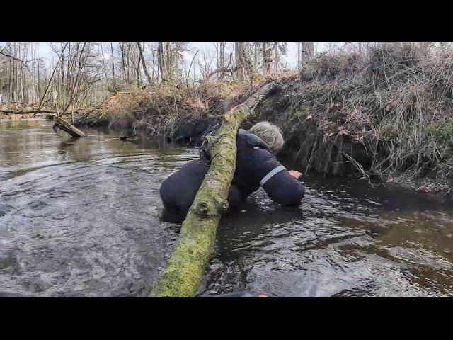 Gefährliche Fluss-Befahrung auf der Schwalm bei Brüggen.