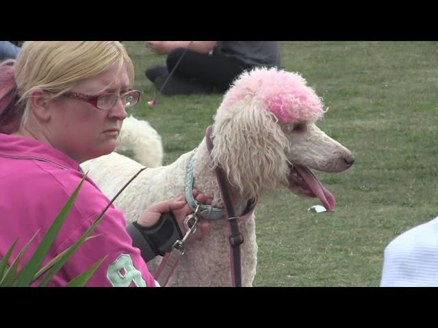 Seaham Carnival 2021