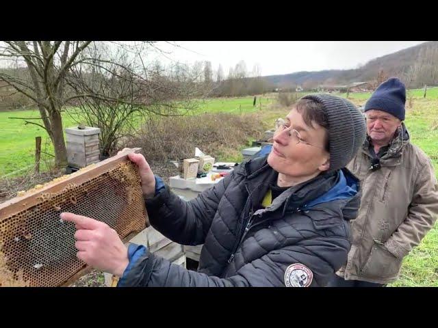 Live von Pias Bienenstand 30.1.21