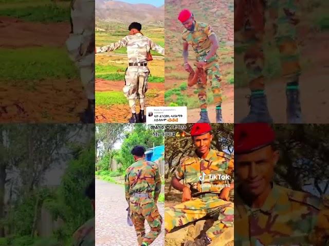 #ተጋሩ #tdf #ተጋሩ #ትግራይ #tigray #ticktock