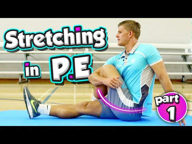 Here's a STRETCHING routine you can use in any PE lesson + learn the muscles (part 1)