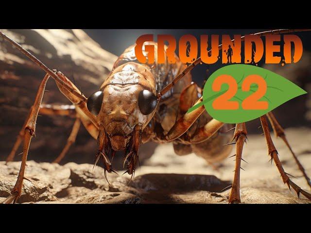 The Tempest of the Termite King | Grounded (Woah Mode)