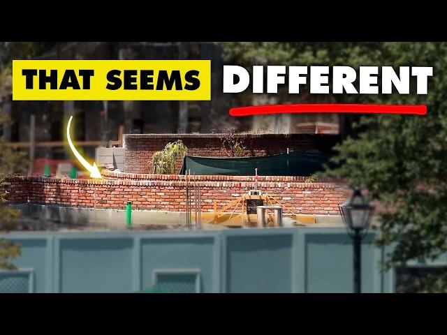 Have they CHANGED the exterior queue design? | Disneyland Construction 06-24-2024