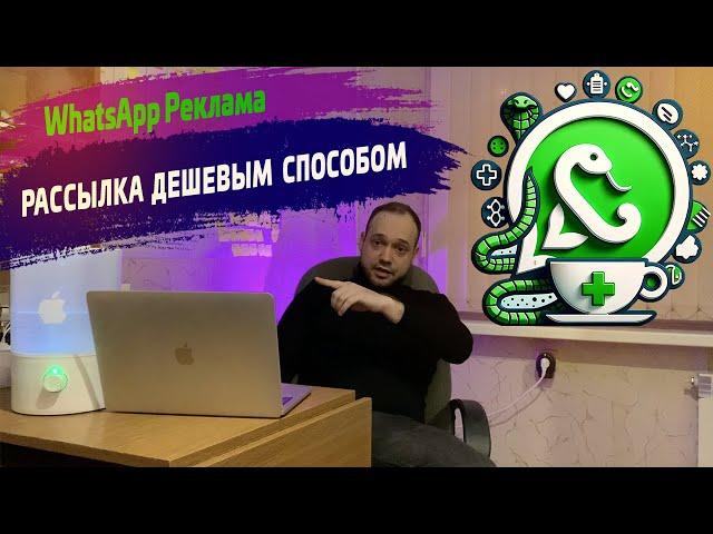    Массовая рассылка WhatsApp в 2024. Инструмент для дешевой рекламы привлечения клиентов