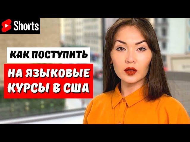 Как поступить на языковые курсы в США? #shorts