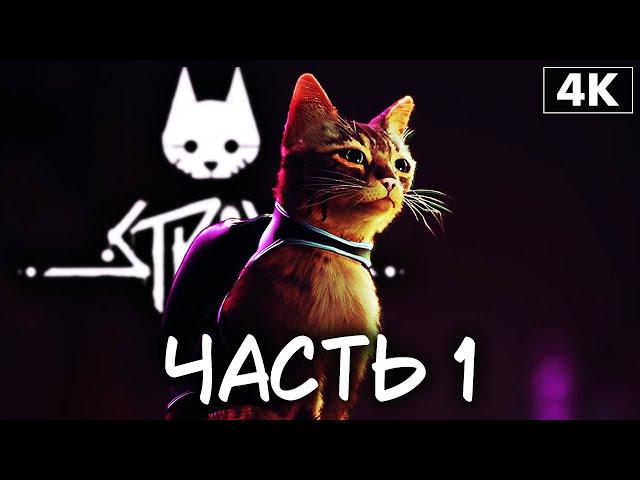 STRAY  Прохождение [4K PS5] ─ Часть 1: Мертвый Город  Стрэй Геймплей на Русском