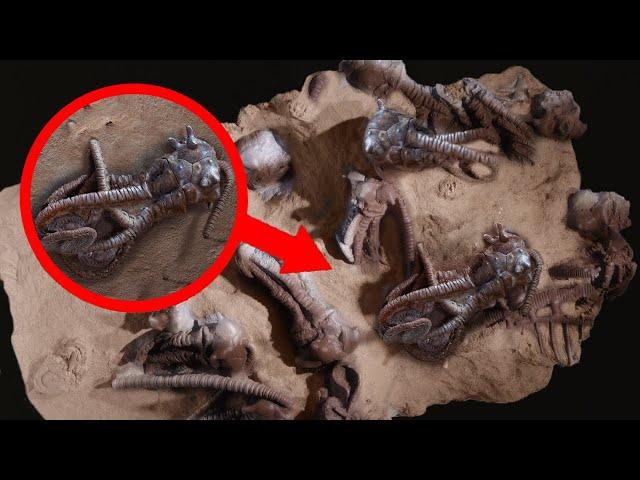 10 Mysterious Recent Archaeological Discoveries