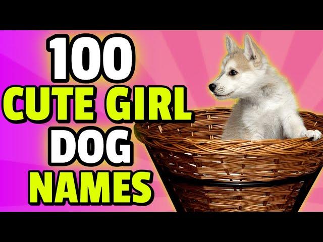 100 Cute Names For A Girl Dog  | Female Dog Names