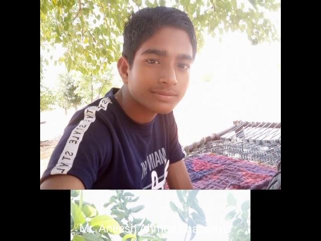 Mr. Aneesh Ahmed