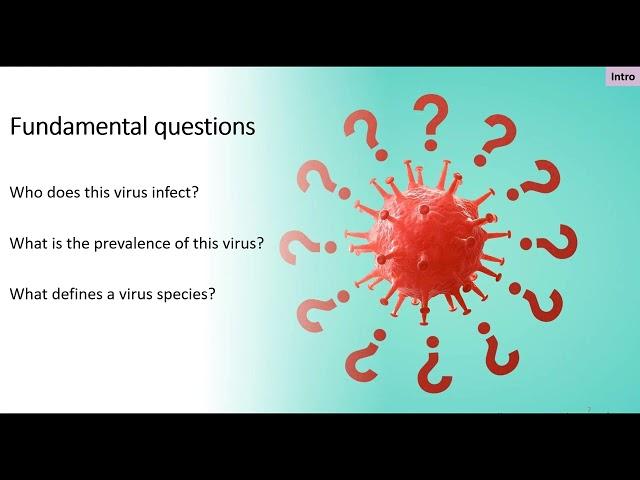 NOAA 'Omics Seminar Series (November 8, 2023): Interpreting Virus Dynamics in Marine Holobionts