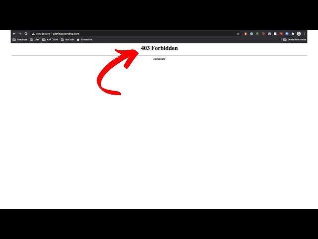 Fix 403 Forbidden Error on Google Chrome Windows 11 / 10/8/7 | How To Solve forbidden 403 error 