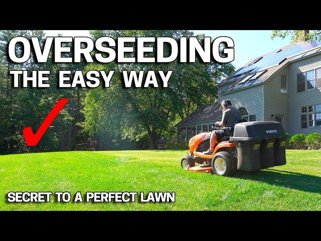 How to OVERSEED Your Lawn in FALL - Easy Way