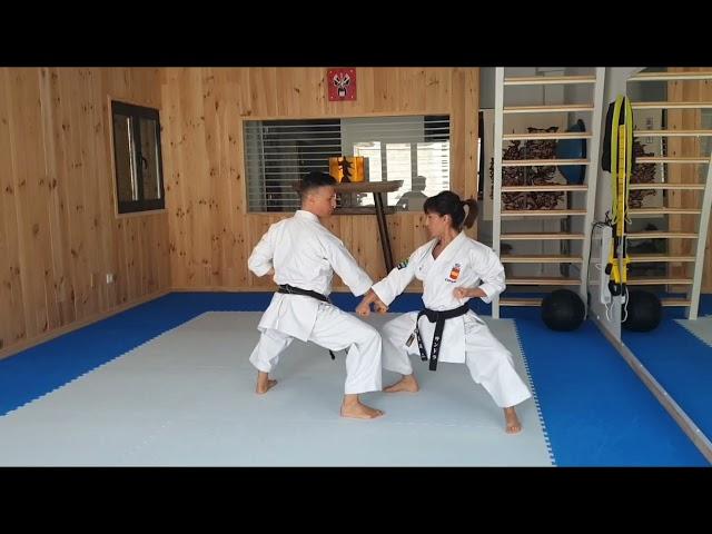 Bunkai Kata Gekisai Dai Ichi by Sandra Sanchez & Jesus Del Moral